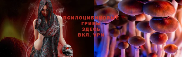 меф Медногорск